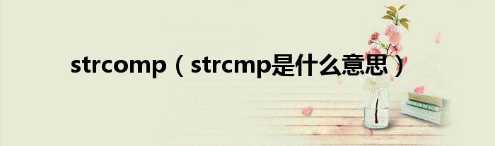 strcomp（strcmp是什么意思）