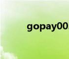 gopay003钱包官方下载（gop）