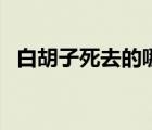 白胡子死去的哪一集（白胡子死在哪一集）