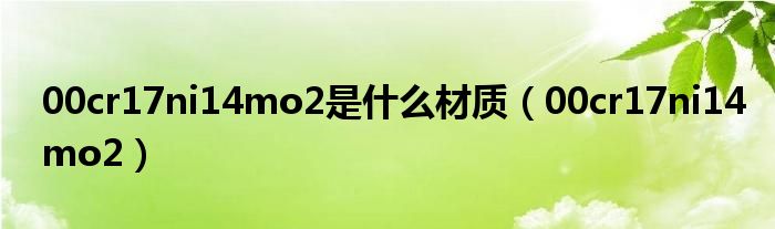 00cr17ni14mo2是什么材质（00cr17ni14mo2）