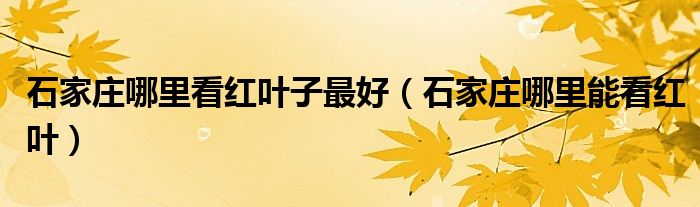 石家庄哪里看红叶子最好（石家庄哪里能看红叶）