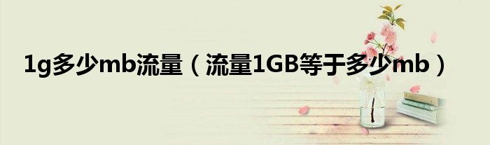 1g多少mb流量（流量1GB等于多少mb）