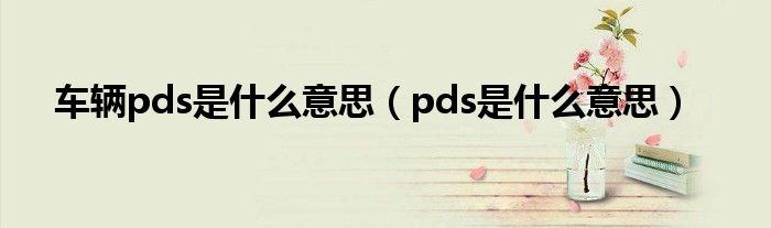 车辆pds是什么意思（pds是什么意思）