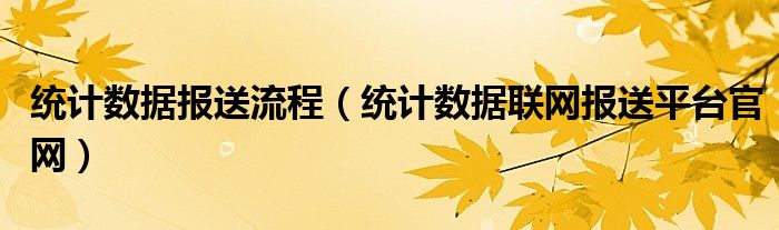 统计数据报送流程（统计数据联网报送平台官网）