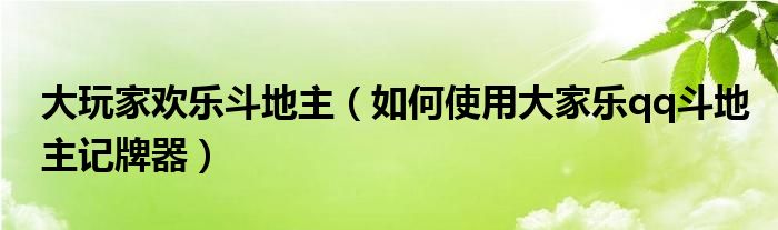 大玩家欢乐斗地主（如何使用大家乐qq斗地主记牌器）