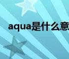 aqua是什么意思牌子（aqua是什么意思）