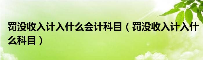 罚没收入计入什么会计科目（罚没收入计入什么科目）