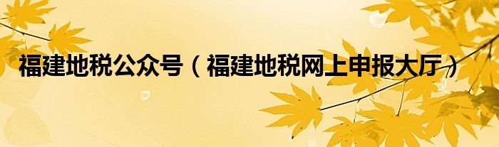 福建地税公众号（福建地税网上申报大厅）