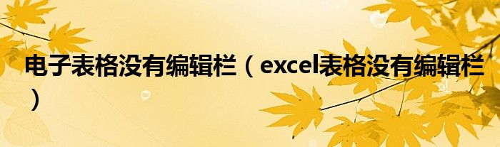 电子表格没有编辑栏（excel表格没有编辑栏）