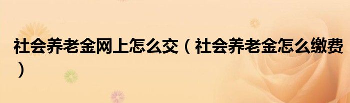 社会养老金网上怎么交（社会养老金怎么缴费）