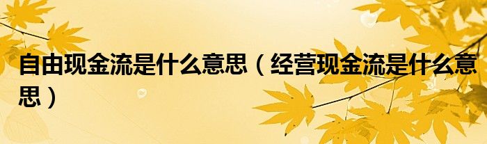 自由现金流是什么意思（经营现金流是什么意思）