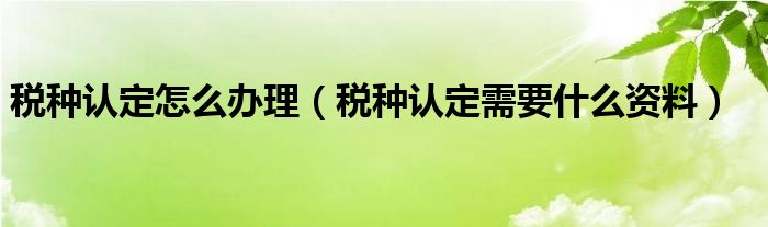 税种认定怎么办理（税种认定需要什么资料）