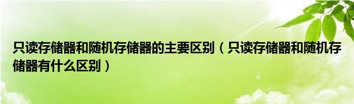 只读存储器和随机存储器的主要区别（只读存储器和随机存储器有什么区别）