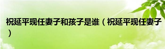 祝延平现任妻子和孩子是谁（祝延平现任妻子）