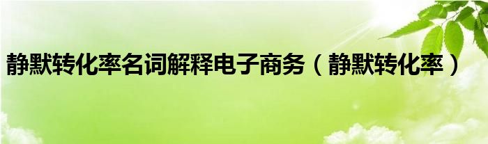 静默转化率名词解释电子商务（静默转化率）