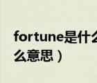 fortune是什么意思英文名字（fortune是什么意思）