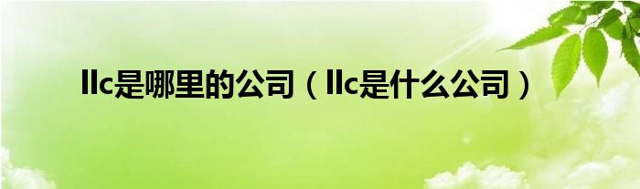 llc是哪里的公司（llc是什么公司）