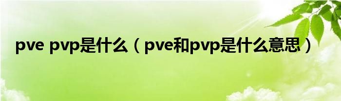 pve pvp是什么（pve和pvp是什么意思）