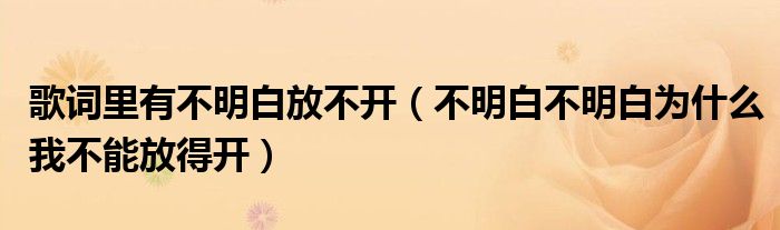 歌词里有不明白放不开（不明白不明白为什么我不能放得开）