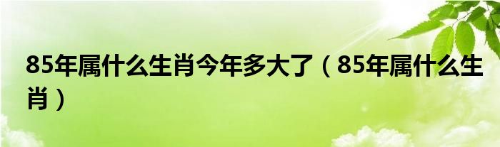 85年属什么生肖今年多大了（85年属什么生肖）