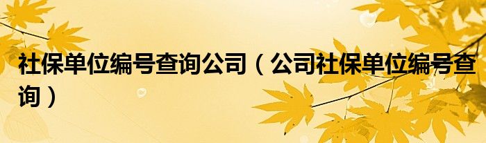 社保单位编号查询公司（公司社保单位编号查询）