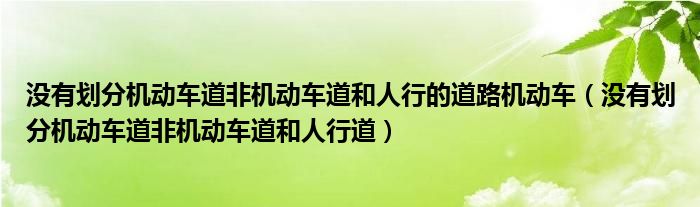 没有划分机动车道非机动车道和人行的道路机动车（没有划分机动车道非机动车道和人行道）