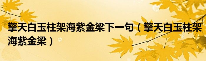 擎天白玉柱架海紫金梁下一句（擎天白玉柱架海紫金梁）