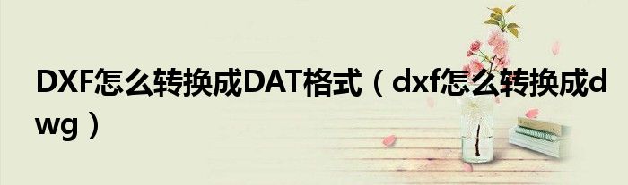 DXF怎么转换成DAT格式（dxf怎么转换成dwg）