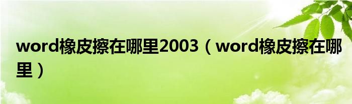 word橡皮擦在哪里2003（word橡皮擦在哪里）