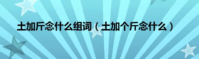 土加斤念什么组词（土加个斤念什么）