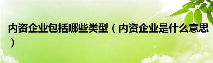 内资企业包括哪些类型（内资企业是什么意思）