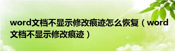 word文档不显示修改痕迹怎么恢复（word文档不显示修改痕迹）