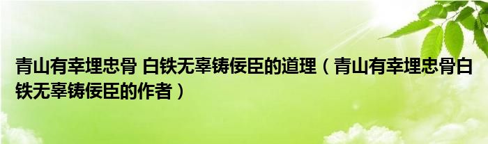 青山有幸埋忠骨 白铁无辜铸佞臣的道理（青山有幸埋忠骨白铁无辜铸佞臣的作者）