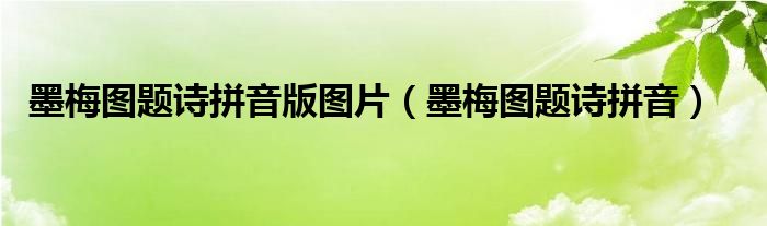 墨梅图题诗拼音版图片（墨梅图题诗拼音）