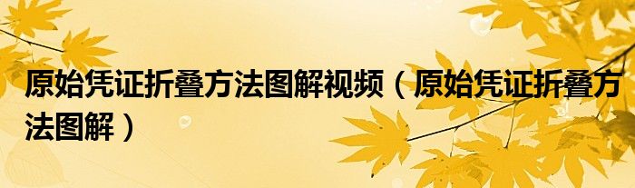 原始凭证折叠方法图解视频（原始凭证折叠方法图解）