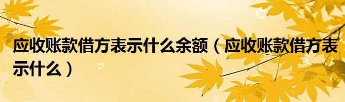 应收账款借方表示什么余额（应收账款借方表示什么）