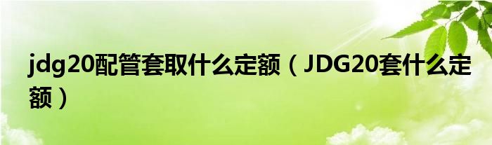 jdg20配管套取什么定额（JDG20套什么定额）