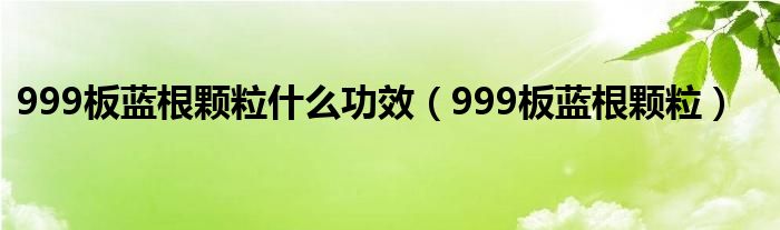 999板蓝根颗粒什么功效（999板蓝根颗粒）