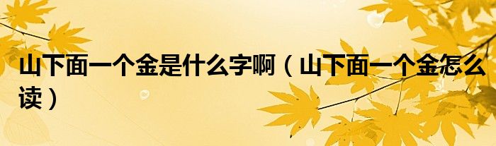 山下面一个金是什么字啊（山下面一个金怎么读）