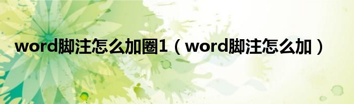 word脚注怎么加圈1（word脚注怎么加）