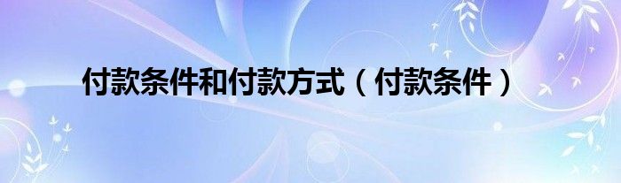 付款条件和付款方式（付款条件）