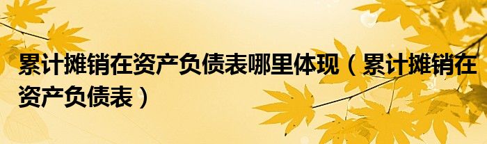 累计摊销在资产负债表哪里体现（累计摊销在资产负债表）