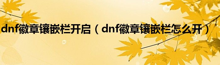 dnf徽章镶嵌栏开启（dnf徽章镶嵌栏怎么开）