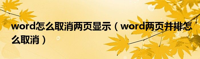 word怎么取消两页显示（word两页并排怎么取消）