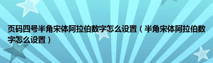 页码四号半角宋体阿拉伯数字怎么设置（半角宋体阿拉伯数字怎么设置）