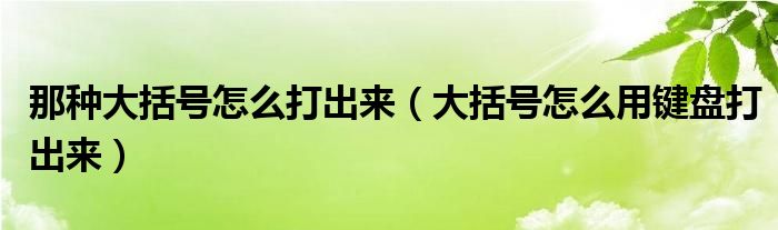 那种大括号怎么打出来（大括号怎么用键盘打出来）