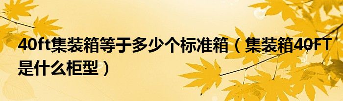 40ft集装箱等于多少个标准箱（集装箱40FT是什么柜型）