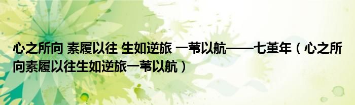 心之所向 素履以往 生如逆旅 一苇以航——七堇年（心之所向素履以往生如逆旅一苇以航）