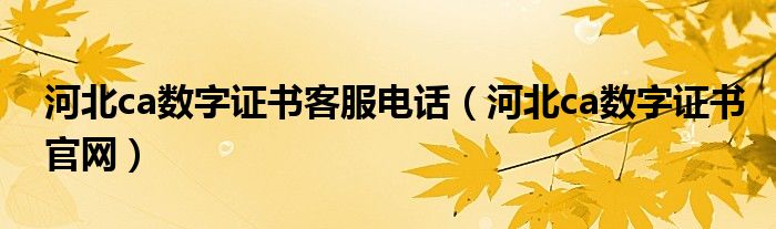 河北ca数字证书客服电话（河北ca数字证书官网）