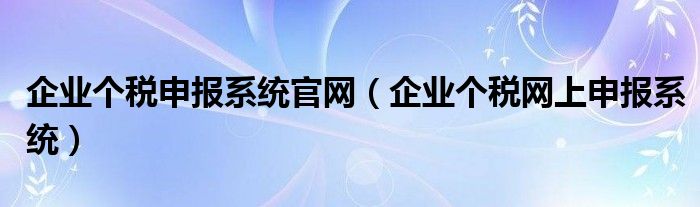 企业个税申报系统官网（企业个税网上申报系统）